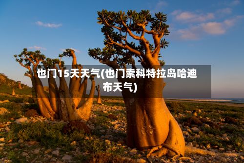 也门15天天气(也门索科特拉岛哈迪布天气)-第2张图片