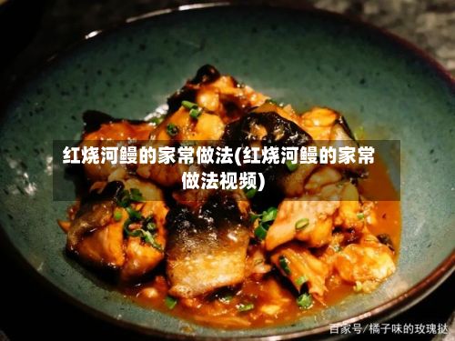 红烧河鳗的家常做法(红烧河鳗的家常做法视频)
