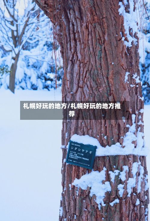札幌好玩的地方/札幌好玩的地方推荐