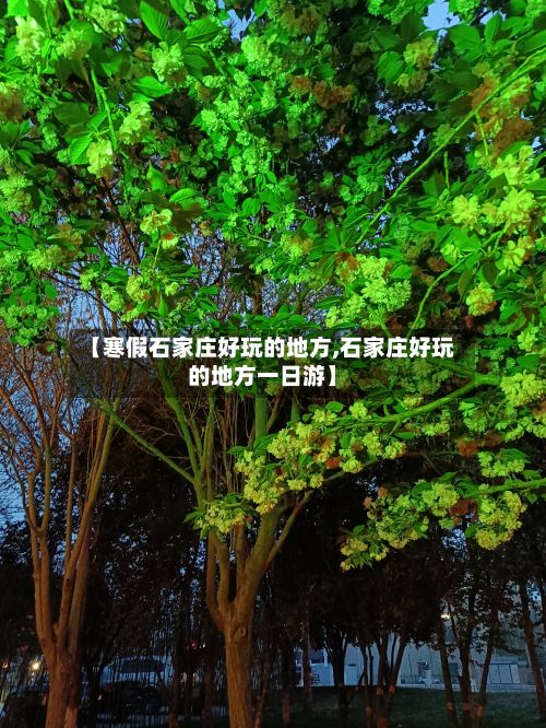 【寒假石家庄好玩的地方,石家庄好玩的地方一日游】-第2张图片