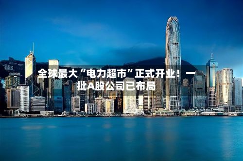 全球最大“电力超市	”正式开业！一批A股公司已布局-第3张图片