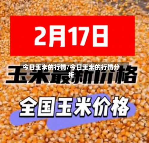 今日玉米的行情/今日玉米的行情分析-第2张图片