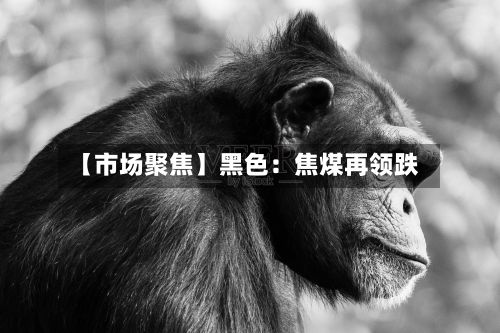 【市场聚焦】黑色：焦煤再领跌-第1张图片