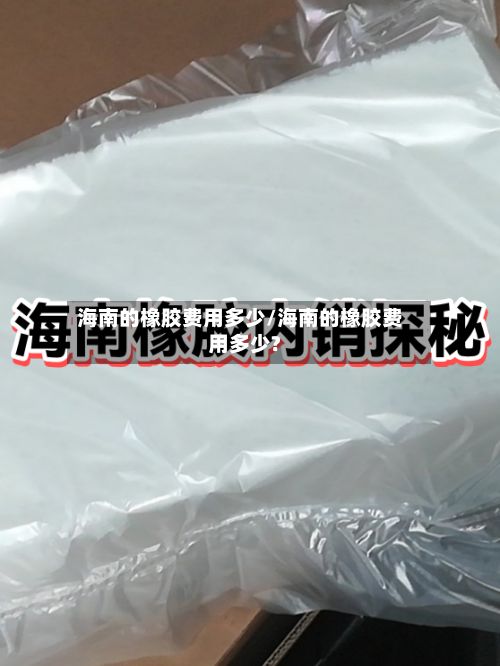 海南的橡胶费用多少/海南的橡胶费用多少?