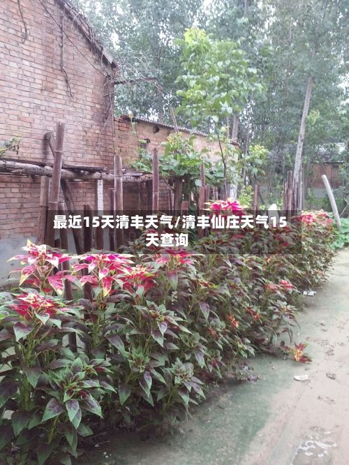 最近15天清丰天气/清丰仙庄天气15天查询