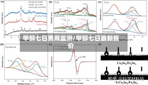 甲醇七日费用监测/甲醇七日最新报价