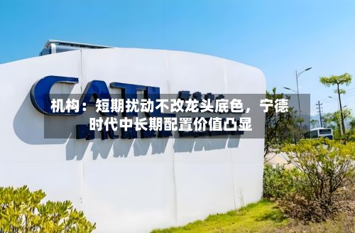 机构：短期扰动不改龙头底色，宁德时代中长期配置价值凸显
