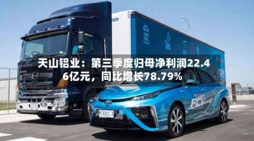 天山铝业：第三季度归母净利润22.46亿元，同比增长78.79%-第3张图片