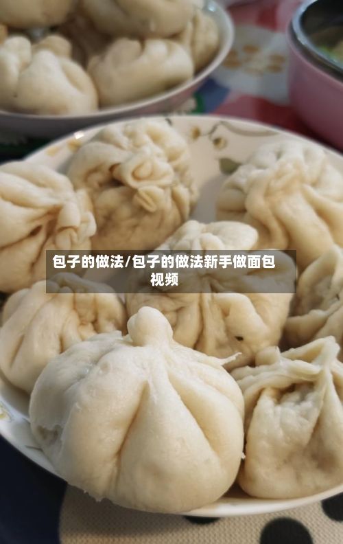 包子的做法/包子的做法新手做面包视频