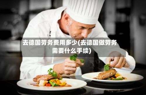 去德国劳务费用多少(去德国做劳务需要什么手续)
