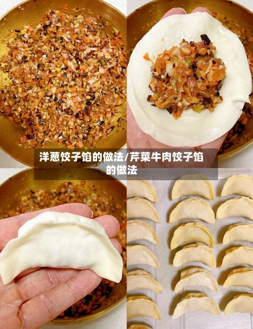 洋葱饺子馅的做法/芹菜牛肉饺子馅的做法