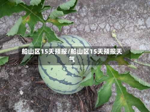 船山区15天预报/船山区15天预报天气