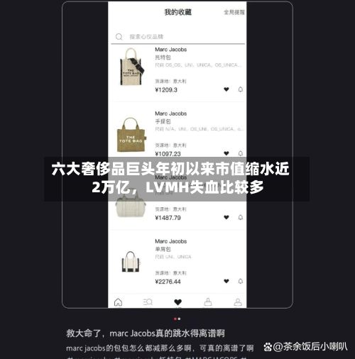 六大奢侈品巨头年初以来市值缩水近2万亿，LVMH失血比较多-第2张图片