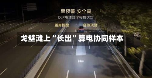 戈壁滩上“长出	”算电协同样本-第2张图片