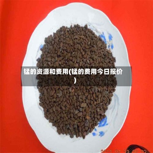 锰的资源和费用(锰的费用今日报价)-第2张图片