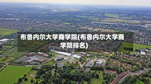 布鲁内尔大学商学院(布鲁内尔大学商学院排名)-第2张图片
