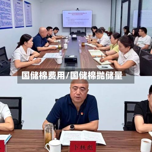 国储棉费用/国储棉抛储量-第2张图片