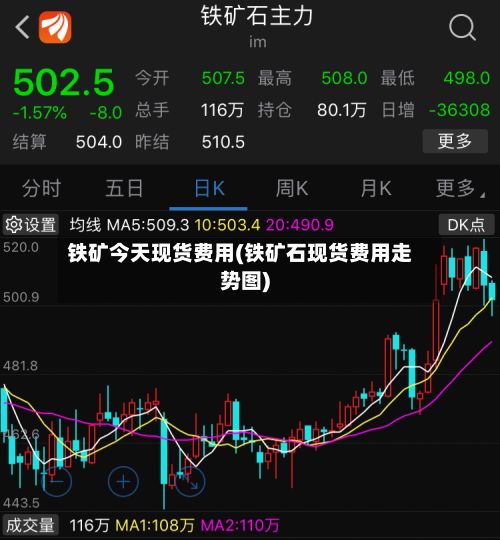 铁矿今天现货费用(铁矿石现货费用走势图)-第3张图片