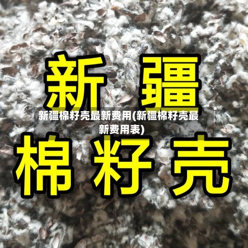 新疆棉籽壳最新费用(新疆棉籽壳最新费用表)
