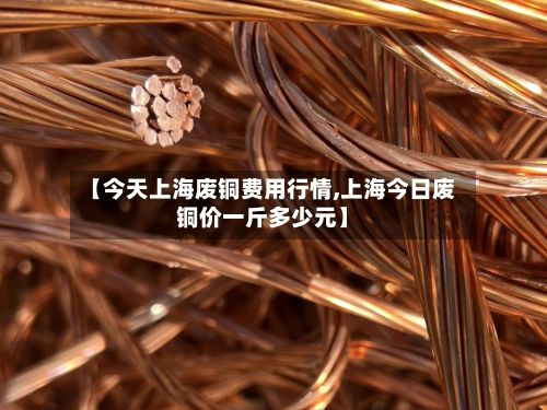 【今天上海废铜费用行情,上海今日废铜价一斤多少元】-第2张图片