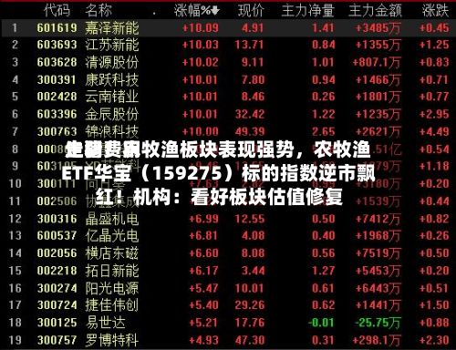 生猪费用走弱！农牧渔板块表现强势，农牧渔ETF华宝（159275）标的指数逆市飘红！机构：看好板块估值修复-第2张图片
