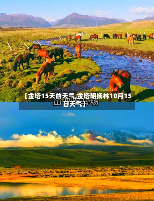 【金塔15天的天气,金塔胡杨林10月15日天气】