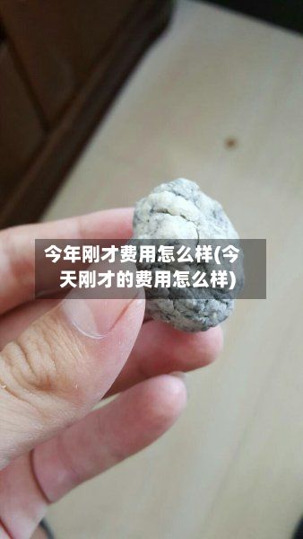 今年刚才费用怎么样(今天刚才的费用怎么样)