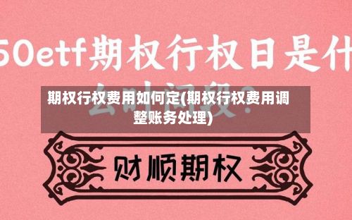期权行权费用如何定(期权行权费用调整账务处理)