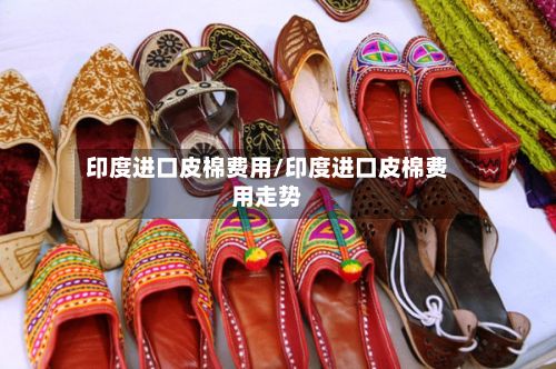 印度进口皮棉费用/印度进口皮棉费用走势-第2张图片