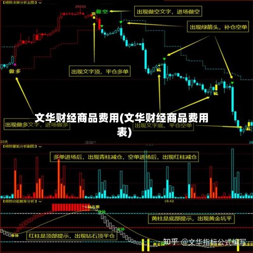 文华财经商品费用(文华财经商品费用表)-第2张图片