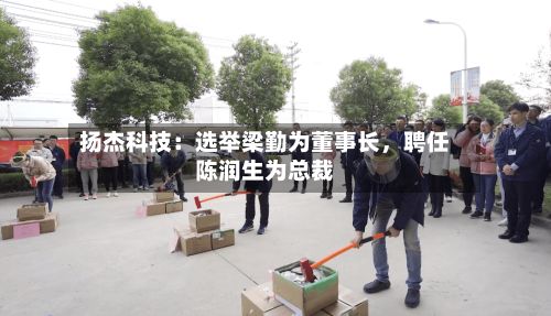 扬杰科技：选举梁勤为董事长，聘任陈润生为总裁-第3张图片