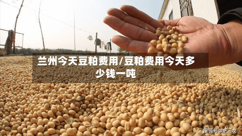 兰州今天豆粕费用/豆粕费用今天多少钱一吨