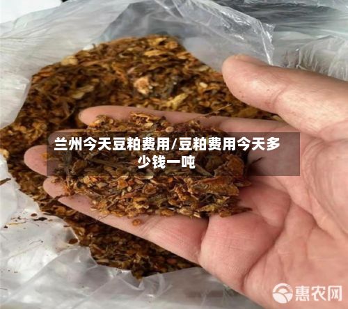 兰州今天豆粕费用/豆粕费用今天多少钱一吨-第3张图片