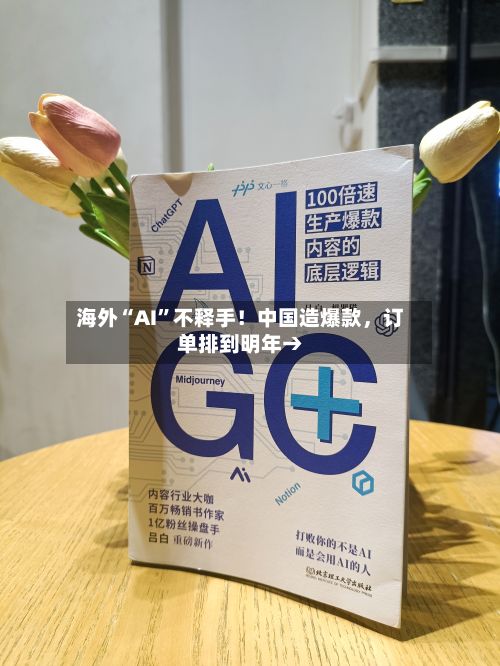 海外“AI”不释手！中国造爆款，订单排到明年→-第2张图片