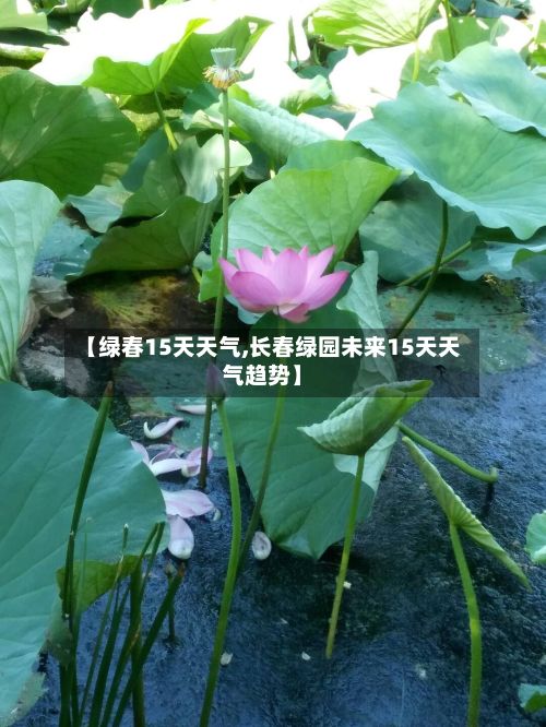 【绿春15天天气,长春绿园未来15天天气趋势】-第2张图片