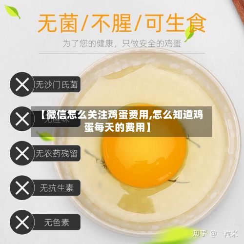 【微信怎么关注鸡蛋费用,怎么知道鸡蛋每天的费用】