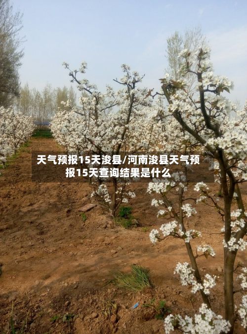 天气预报15天浚县/河南浚县天气预报15天查询结果是什么-第3张图片