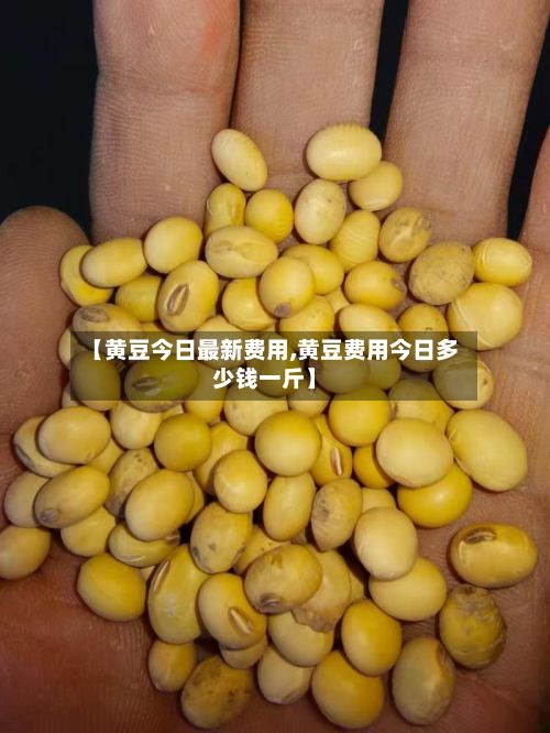 【黄豆今日最新费用,黄豆费用今日多少钱一斤】-第2张图片