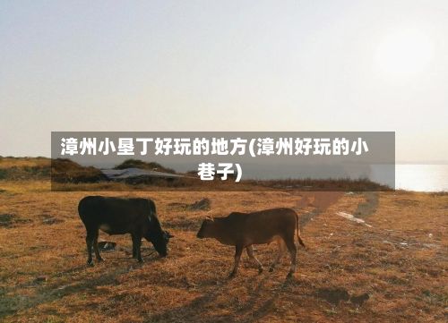 漳州小垦丁好玩的地方(漳州好玩的小巷子)-第2张图片