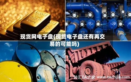 现货网电子盘(现货电子盘还有再交易的可能吗)