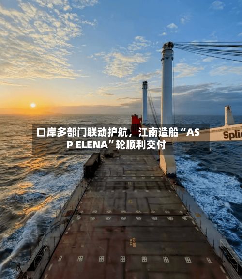 口岸多部门联动护航，江南造船“ASP ELENA	”轮顺利交付-第3张图片