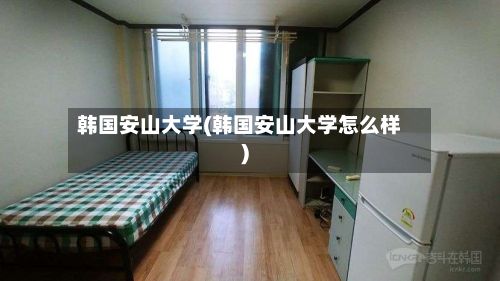 韩国安山大学(韩国安山大学怎么样)