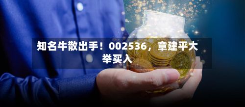 知名牛散出手！002536，章建平大举买入