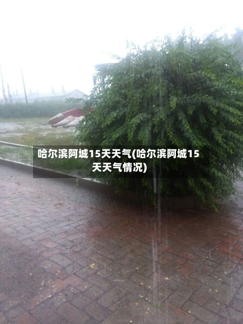 哈尔滨阿城15天天气(哈尔滨阿城15天天气情况)