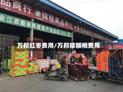万邦红枣费用/万邦猕猴桃费用-第2张图片