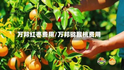 万邦红枣费用/万邦猕猴桃费用-第3张图片