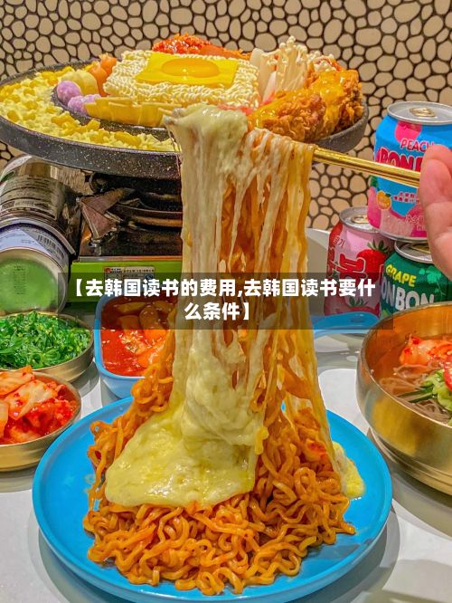 【去韩国读书的费用,去韩国读书要什么条件】-第2张图片