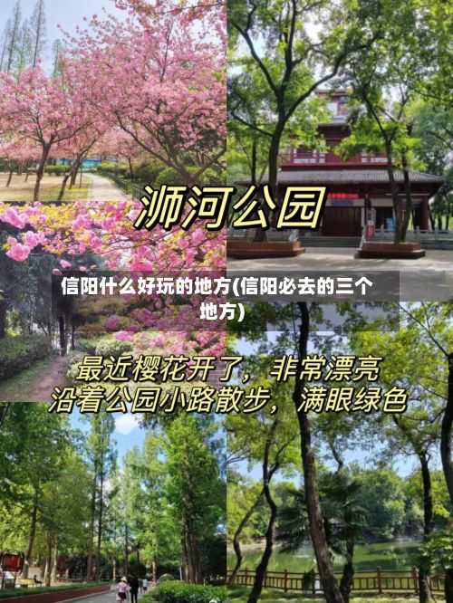 信阳什么好玩的地方(信阳必去的三个地方)