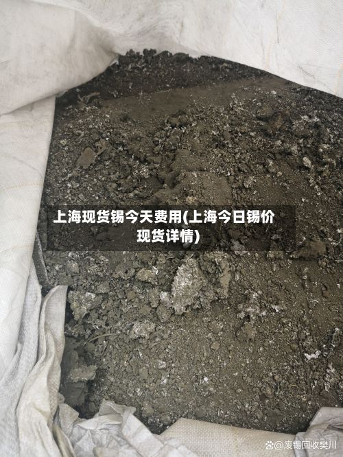 上海现货锡今天费用(上海今日锡价现货详情)-第3张图片