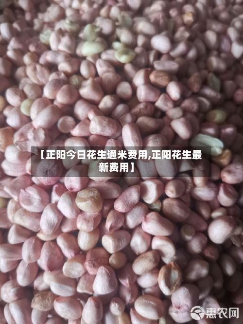 【正阳今日花生通米费用,正阳花生最新费用】-第3张图片